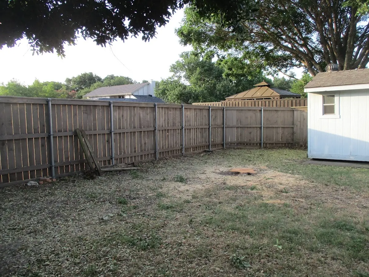 Cleared yard after professional tree removal in Munich